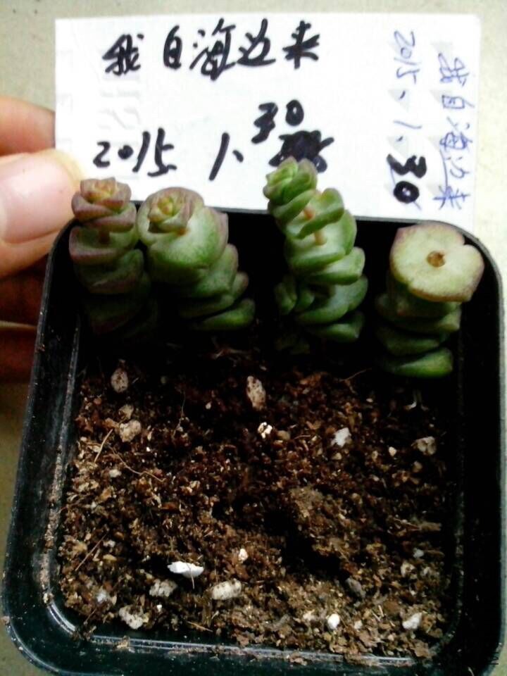 QQͼƬ20150130164201.jpg