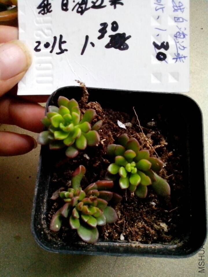 QQͼƬ20150130164205.jpg