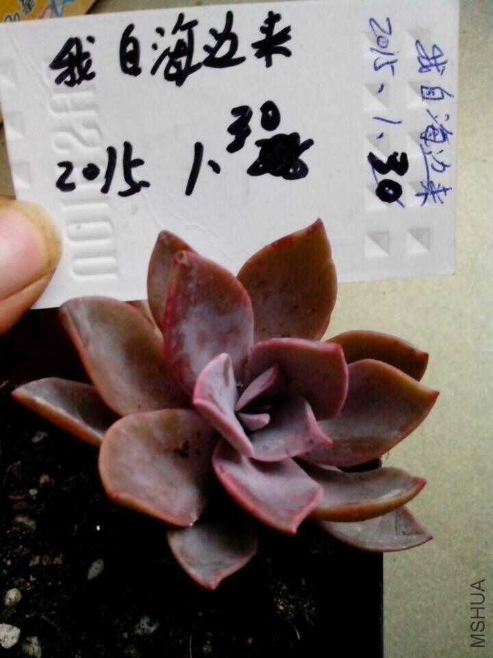QQͼƬ20150130164209.jpg