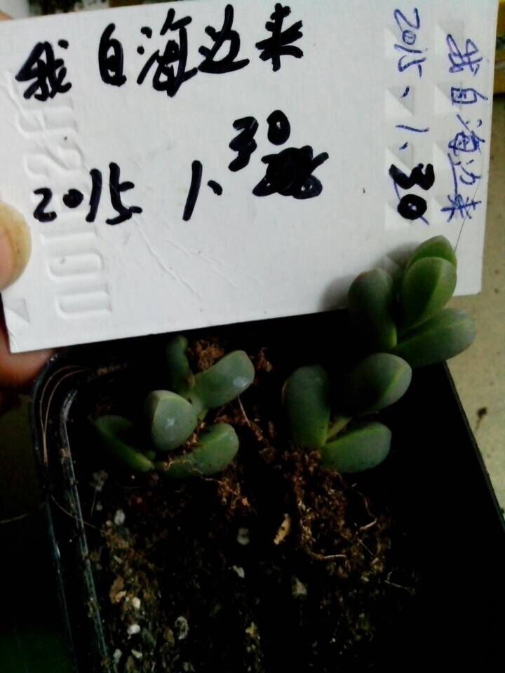 QQͼƬ20150130164217.jpg