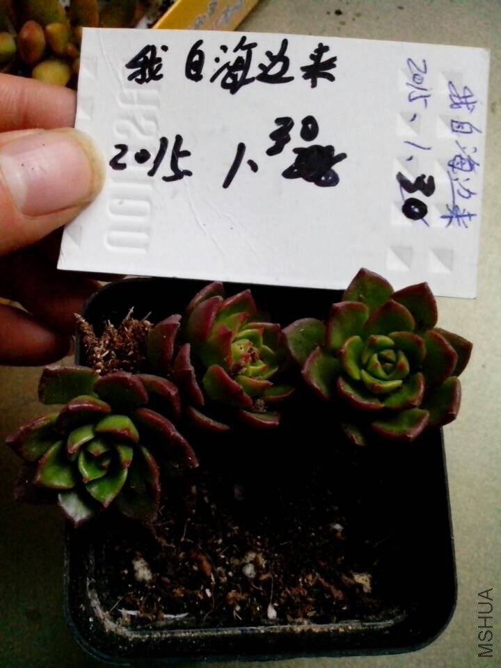 QQͼƬ20150130164213.jpg