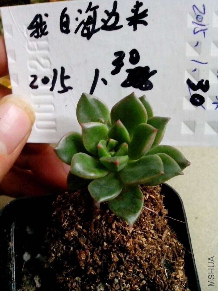 QQͼƬ20150130164223.jpg