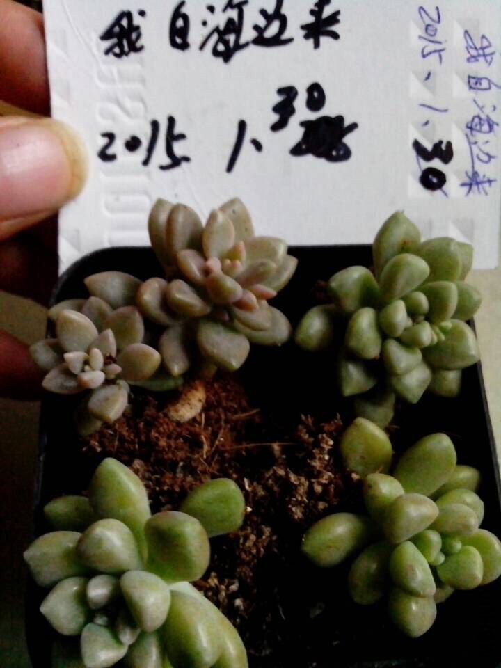 QQͼƬ20150130164236.jpg
