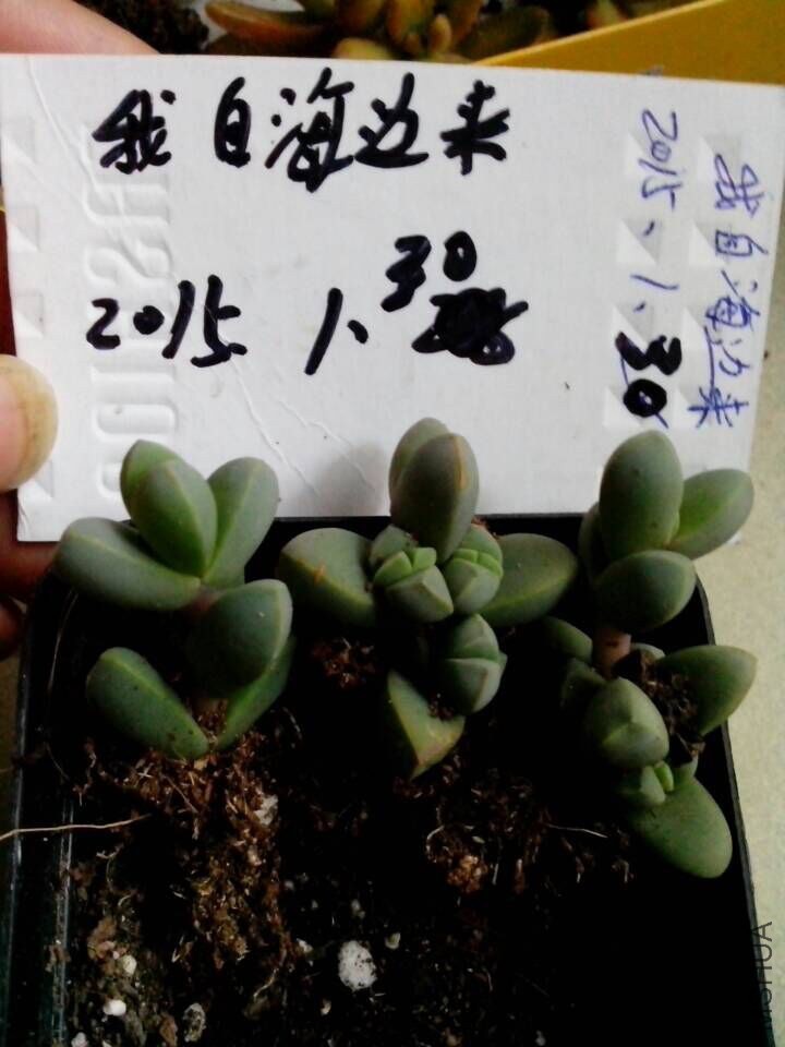 QQͼƬ20150130164227.jpg