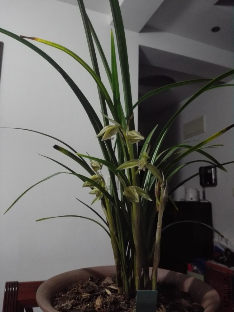 IMG_20150130_201210.jpg