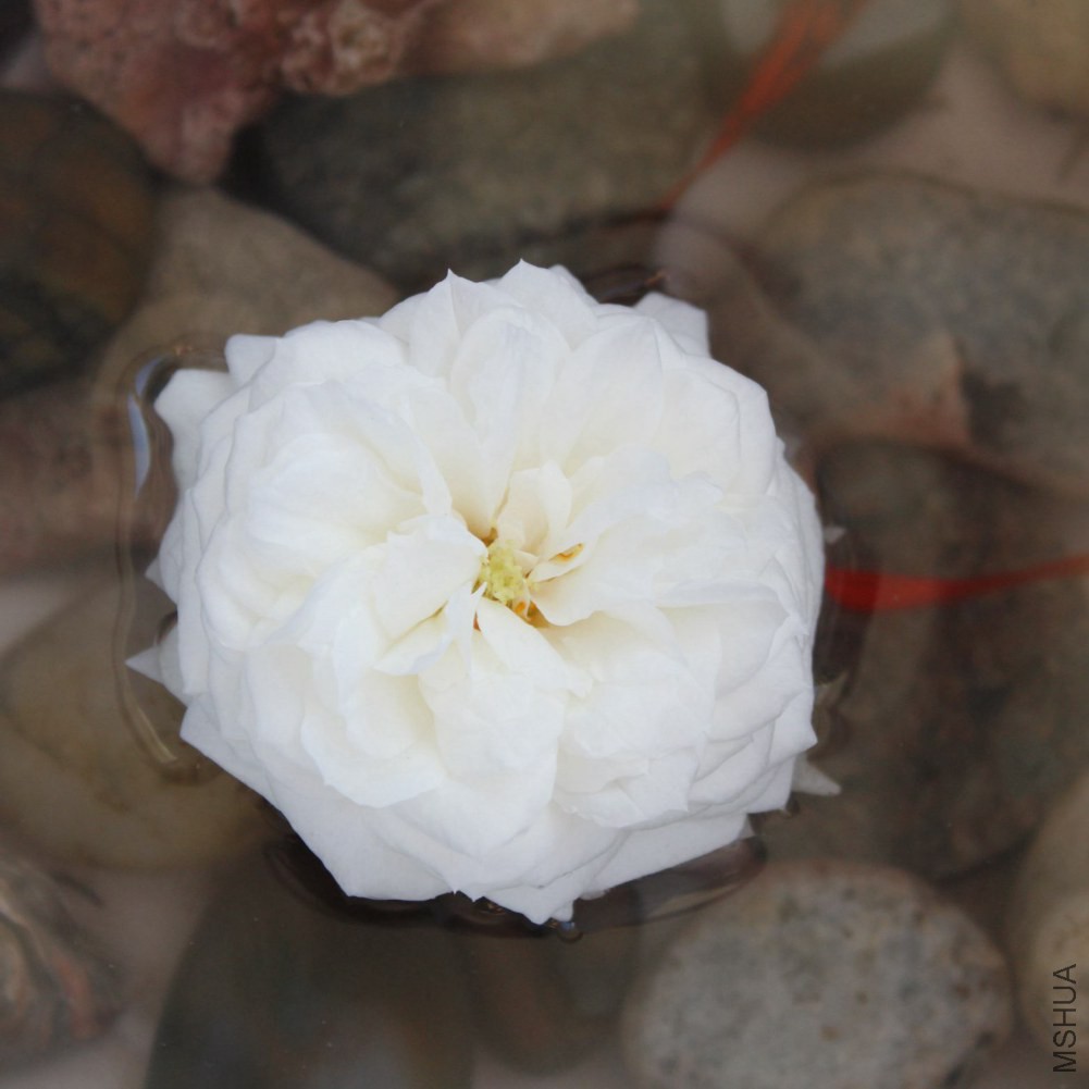 ����֮·ȫ����ͼ