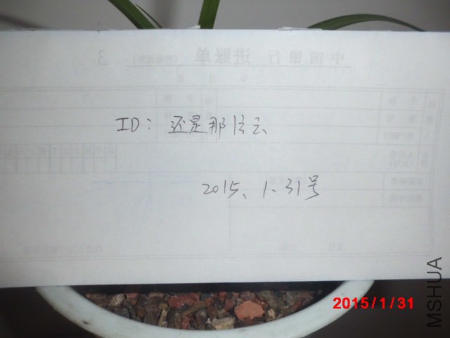 CIMG2051.JPG