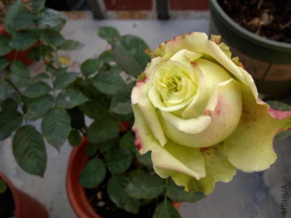 2015-01-19-2483.jpg