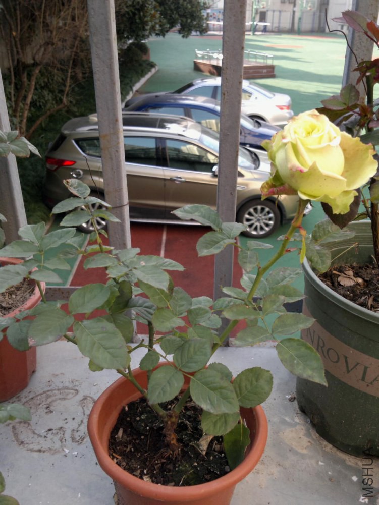2015-01-19-2484.jpg