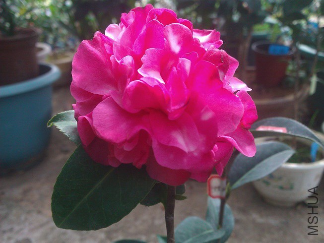 WP_003281.jpg