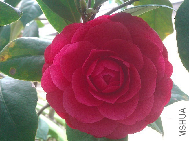 WP_003255.jpg