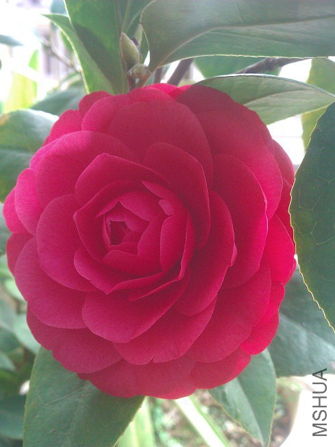 WP_003254.jpg