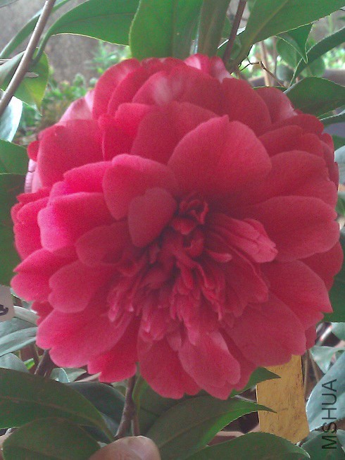 WP_003242.jpg