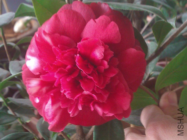 WP_003245.jpg