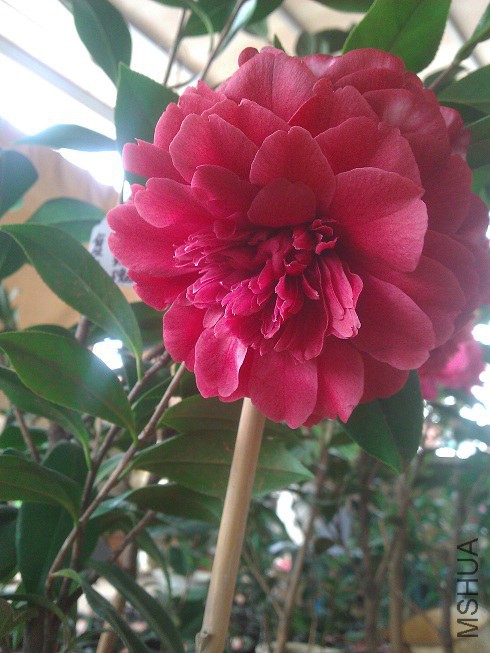 WP_003247.jpg