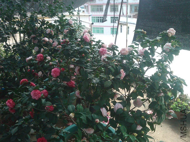 WP_003277.jpg