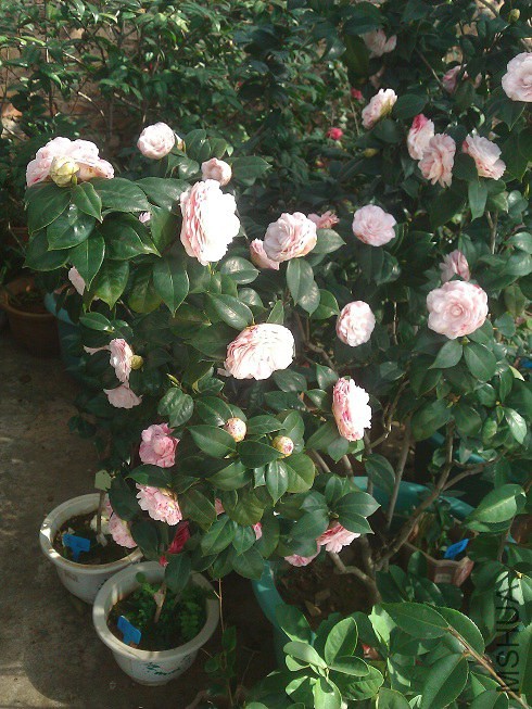 WP_003285.jpg