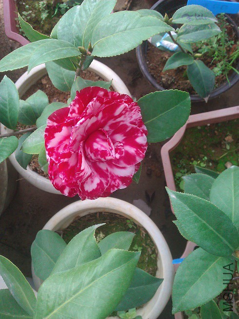 WP_003250.jpg