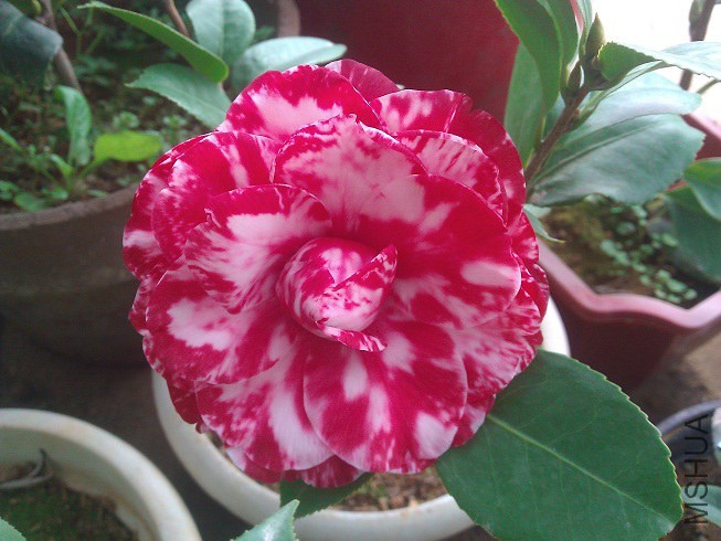WP_003252.jpg