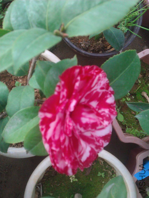 WP_003251.jpg