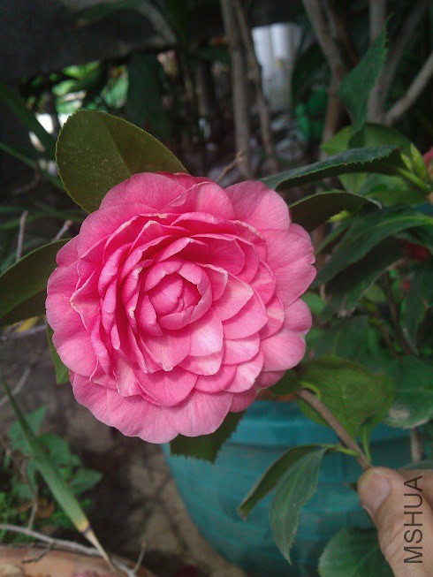 WP_003305.jpg