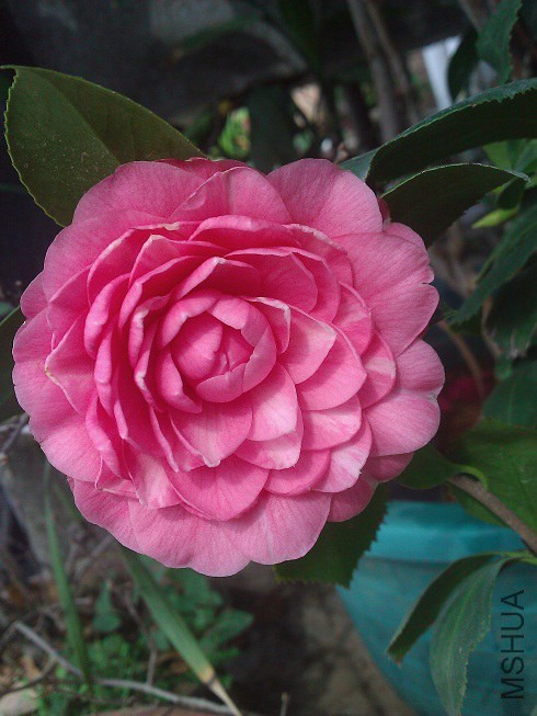 WP_003306.jpg