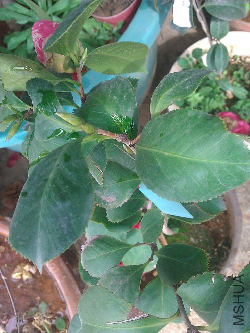 WP_003307.jpg