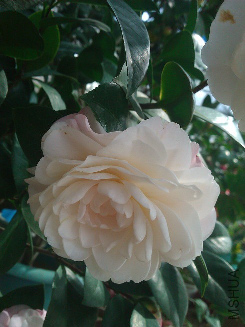 WP_003300.jpg