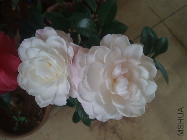 WP_003238.jpg