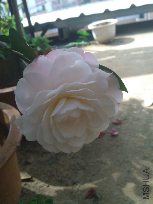 WP_003303.jpg