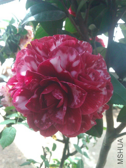 WP_003298.jpg