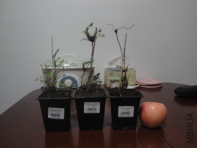 ���������