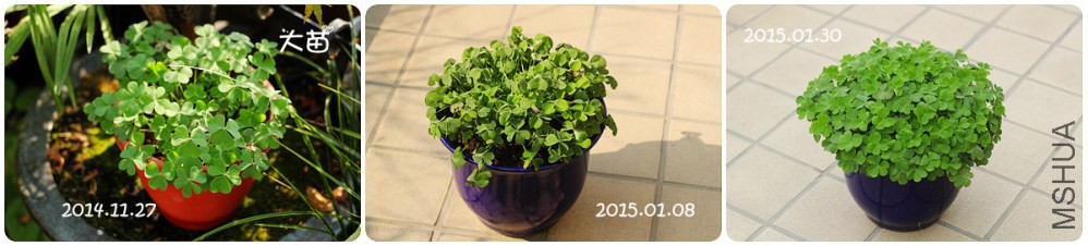 IMG_0400_����.jpg