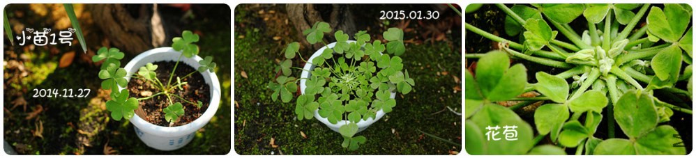IMG_9404_����.jpg