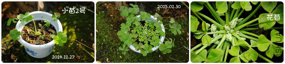 IMG_9410_����.jpg