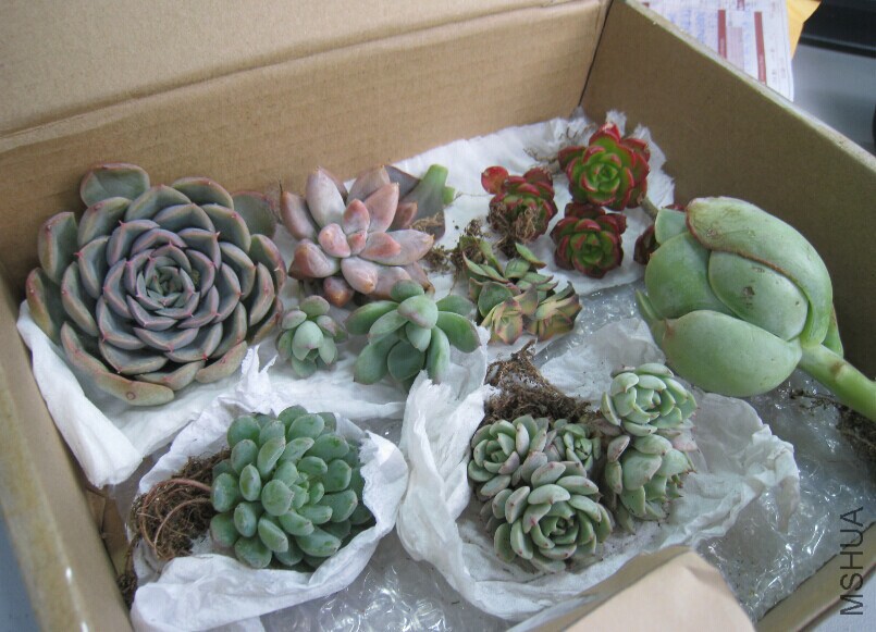 QQͼƬ20150202125330.jpg