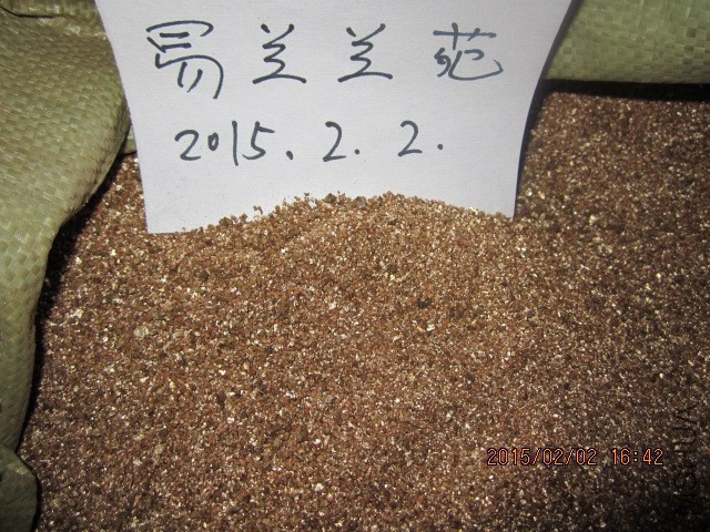 IMG_8797.JPG