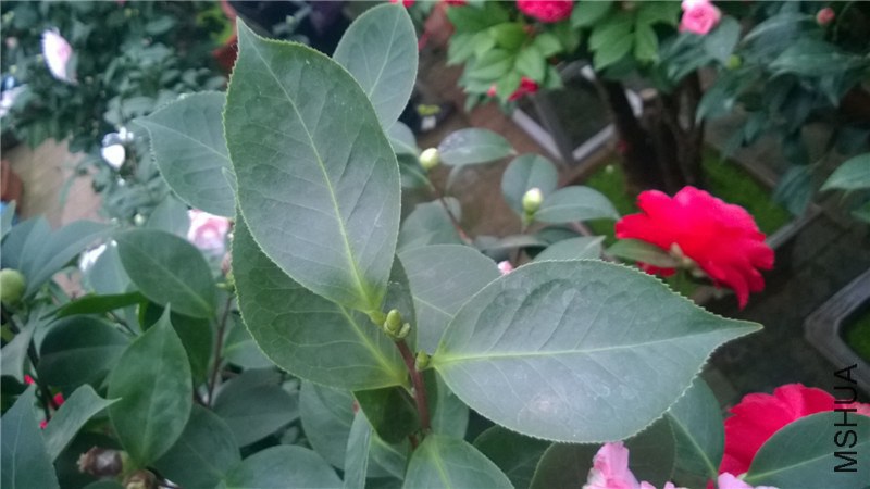 �������� (1).jpg