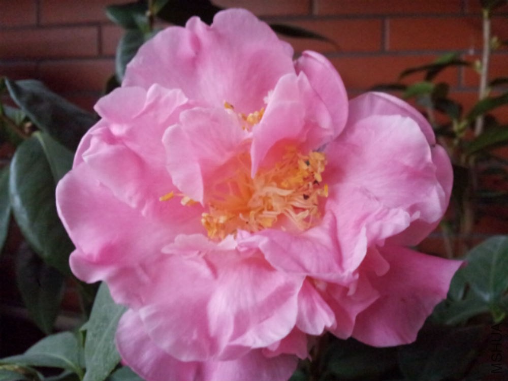 20150125_090743.jpg