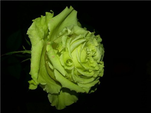 20150203_150712.jpg