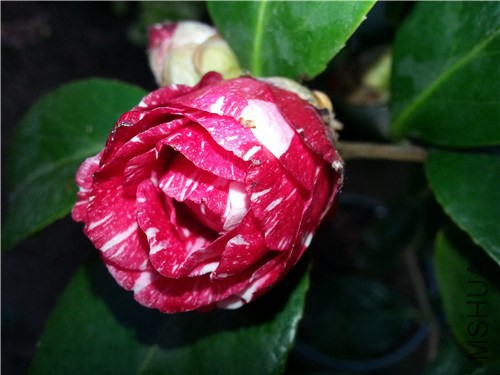 20150203_150837.jpg
