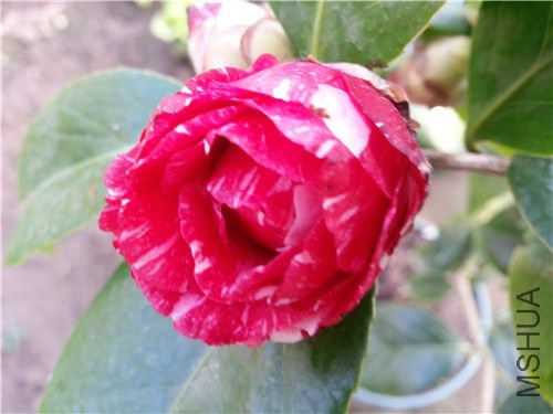 20150203_150844.jpg