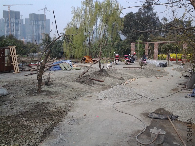 20140317_111334.jpg