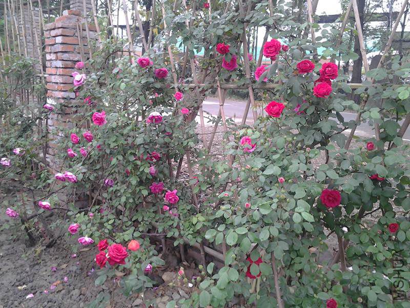 20140423_073626.jpg