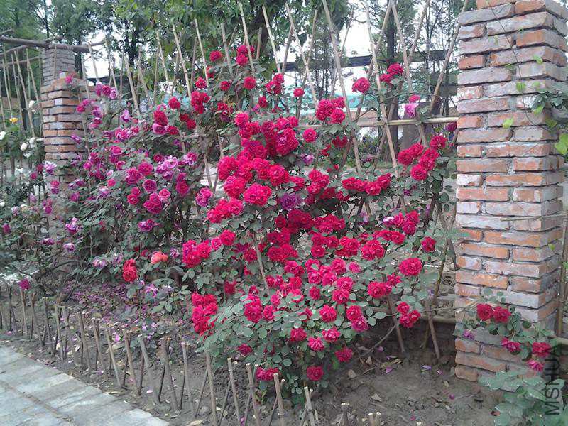 20140503_092919.jpg