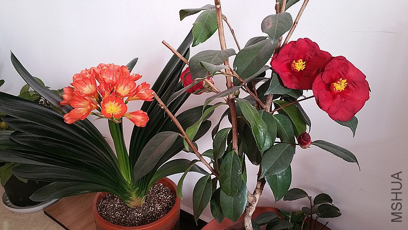 �½��ļ���20150204_111030_����.jpg