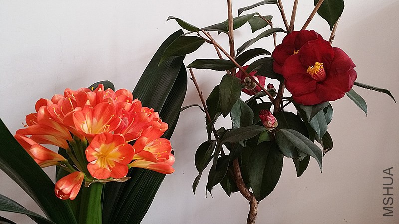 �½��ļ���20150204_111248_����.jpg