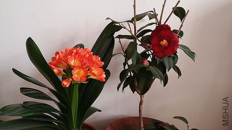 �½��ļ���20150204_111337_����.jpg