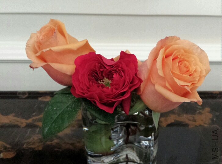 2015-02-01 18.01.46_resized.jpg