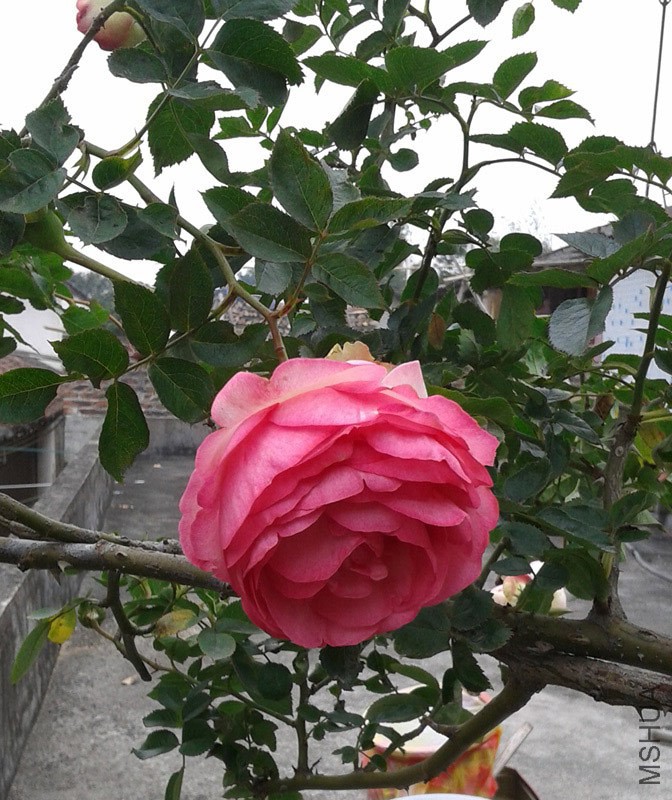 20150131_123013.jpg
